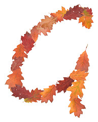 Image showing letter made of oak autumn leaves