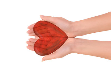 Image showing red heart in the hand