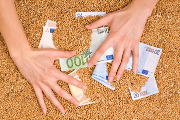 Image showing capacity of money in the wheat