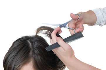 Image showing hairdresser cutting young woman