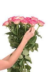 Image showing bouquet