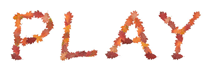 Image showing word play made of autumn leaves for game