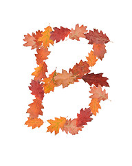 Image showing letter made of oak autumn leaves