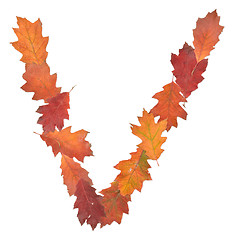 Image showing letter made of oak autumn leaves