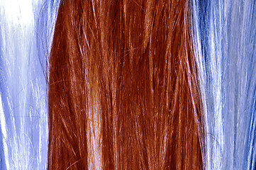 Image showing hair