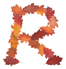 Image showing letter made of oak autumn leaves