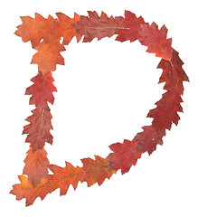 Image showing letter made of oak autumn leaves