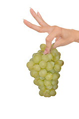 Image showing a branch of green grape in the woman's hand