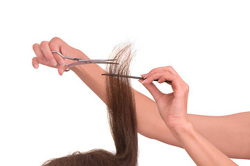 Image showing hairdresser cutting young woman