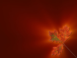 Image showing Glowing oak leaves