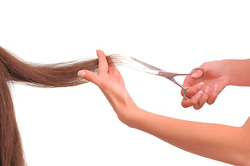 Image showing hairdresser cutting young woman