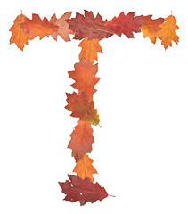 Image showing letter made of oak autumn leaves