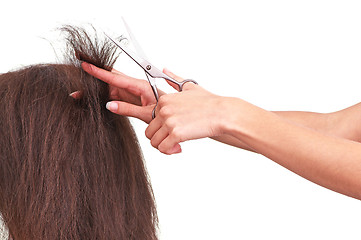 Image showing hairdresser cutting young woman