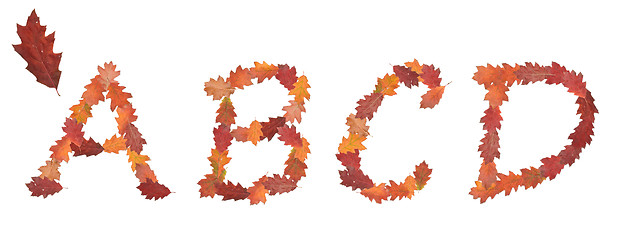 Image showing alphabet made of autumn leaves