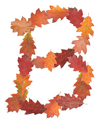 Image showing letter made of oak autumn leaves