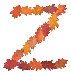 Image showing letter made of oak autumn leaves