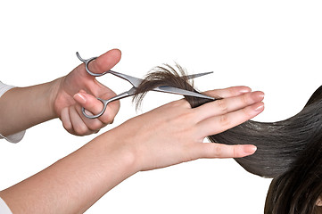 Image showing hairdresser cutting young woman