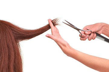 Image showing hairdresser cutting young woman