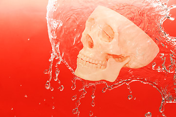 Image showing white skull in the water