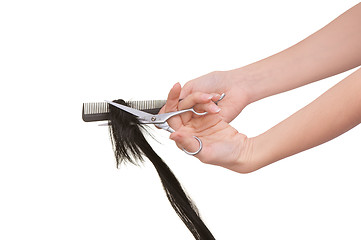 Image showing hairdresser cutting young woman