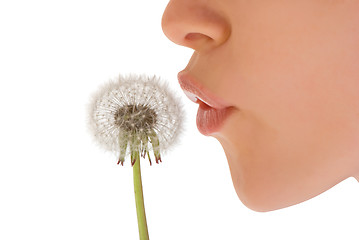 Image showing woman with dandelion