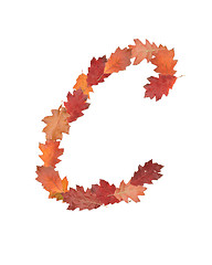 Image showing letter made of oak autumn leaves