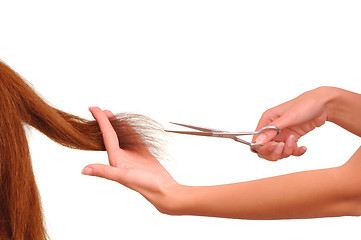 Image showing hairdresser cutting young woman