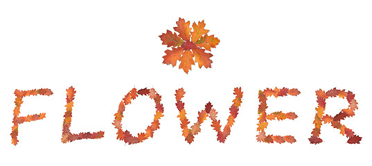 Image showing word flower made of autumn leaves