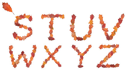 Image showing alphabet made of autumn leaves