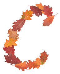 Image showing letter made of oak autumn leaves