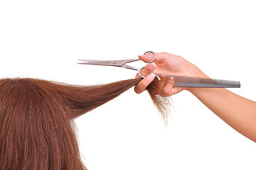 Image showing hairdresser cutting young woman