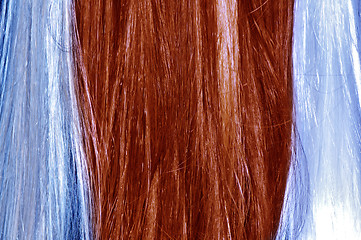 Image showing hair