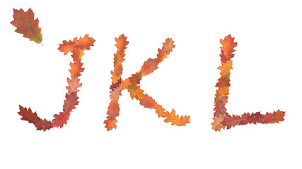 Image showing alphabet made of autumn leaves