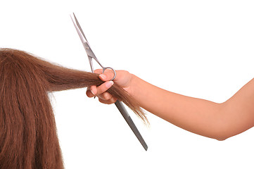 Image showing hairdresser cutting young woman