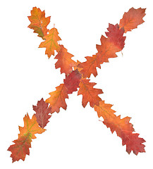 Image showing letter made of oak autumn leaves