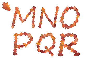 Image showing alphabet made of autumn leaves