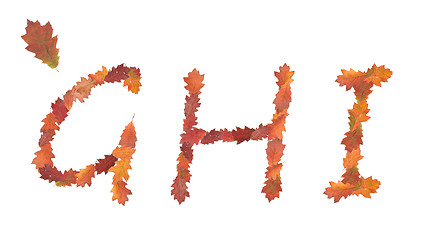 Image showing alphabet made of autumn leaves