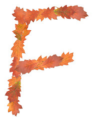 Image showing letter made of oak autumn leaves