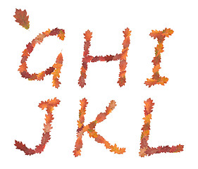 Image showing alphabet made of autumn leaves