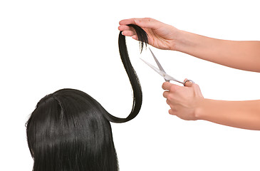 Image showing hairdresser cutting young woman