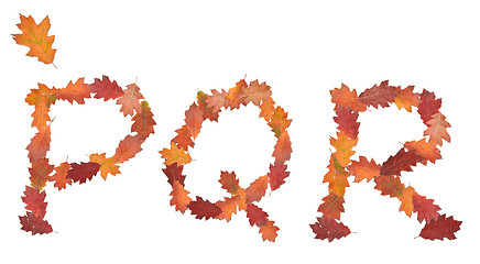 Image showing alphabet made of autumn leaves