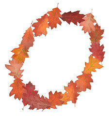 Image showing letter made of oak autumn leaves