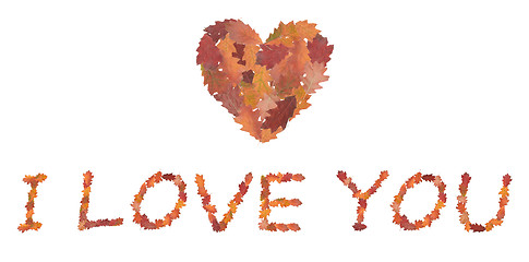 Image showing phrase I love you made of autumn leaves