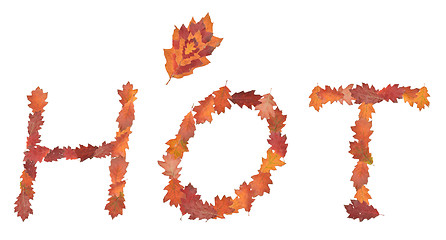 Image showing word hot made of autumn leaves