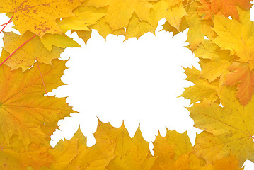 Image showing frame made of yellow autumn leaves