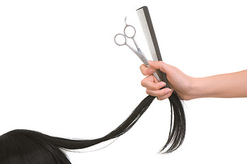 Image showing hairdresser cutting young woman