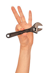 Image showing small adjustable spanner in the hand