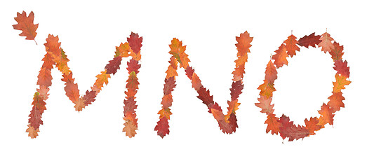 Image showing alphabet made of autumn leaves