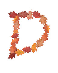 Image showing letter made of oak autumn leaves