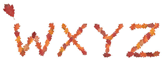 Image showing alphabet made of autumn leaves